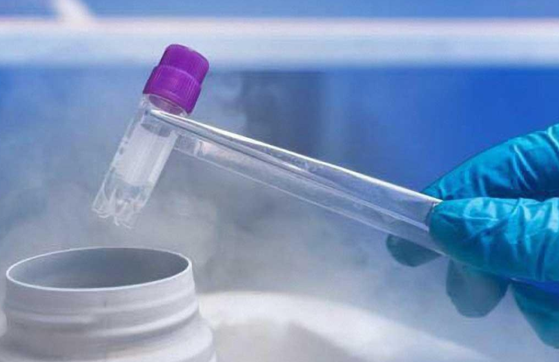 άҽԺʽչԹӤ(IVF-D)Ŀ޾мͥԲ